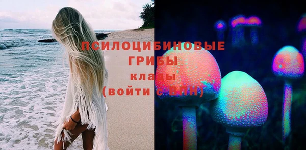 кокс Алзамай