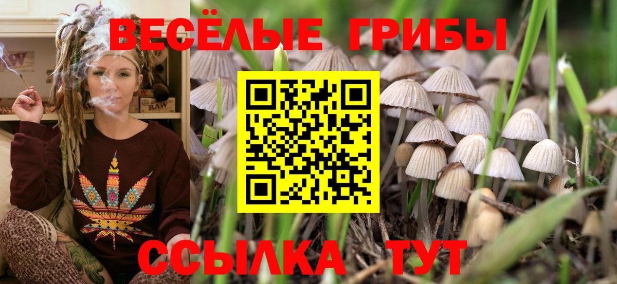 Галлюциногенные грибы Psilocybine cubensis Стерлитамак