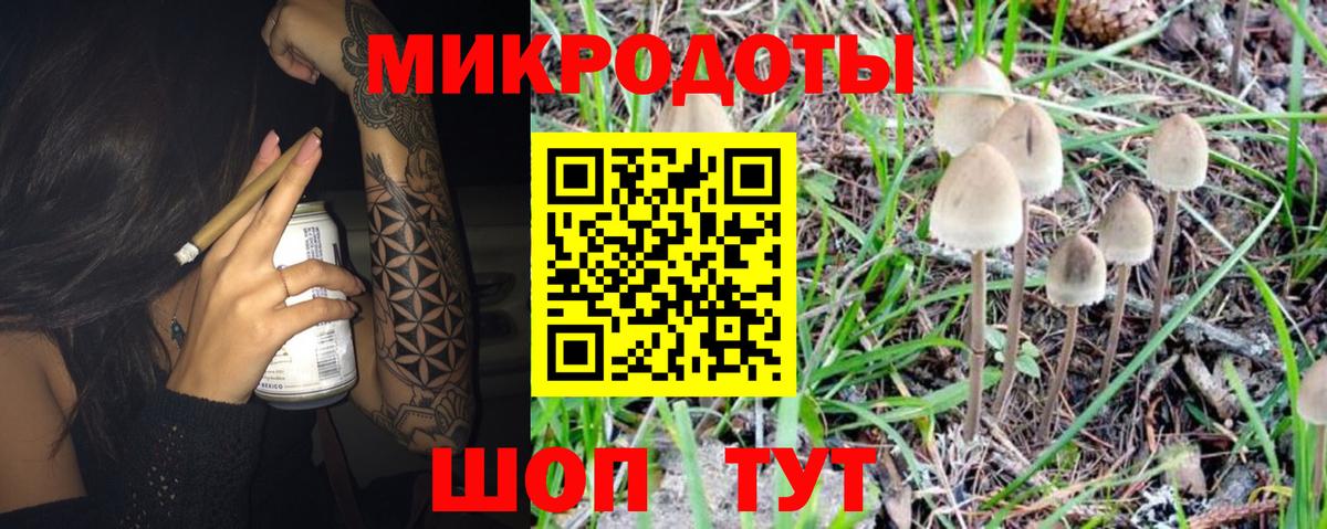 Стерлитамак  Псилоцибиновые грибы Psilocybe  Галлюциногенные грибы прущие грибы  Вход с VPN 